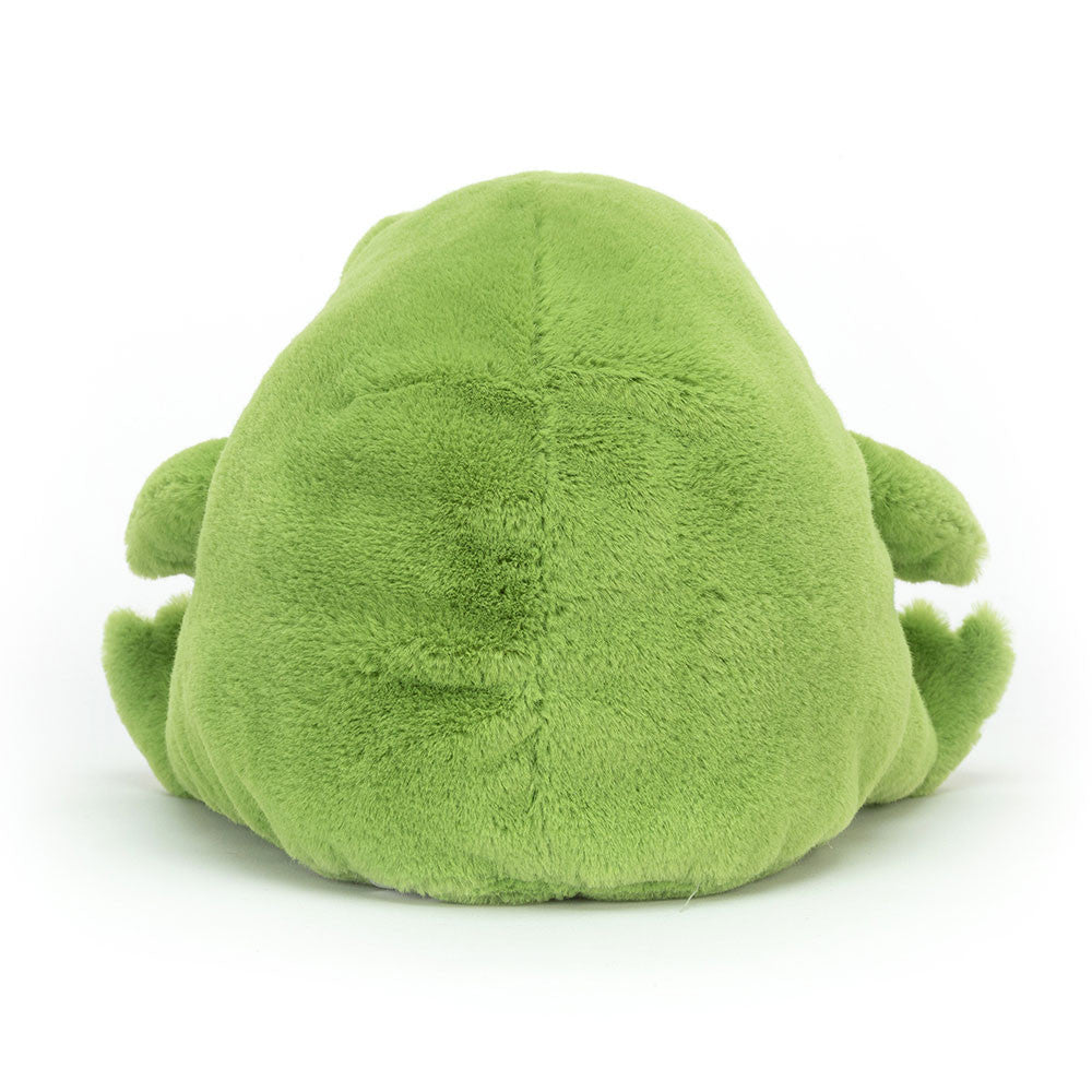 Jellycat Ricky Rain Frog Medium Plush Toy 6in